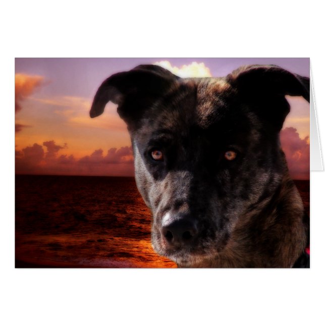 Cartão Esperança Visita O Oceano (Frente Horizontal)