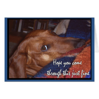 Cartão Esperança você vem através desta multa justa