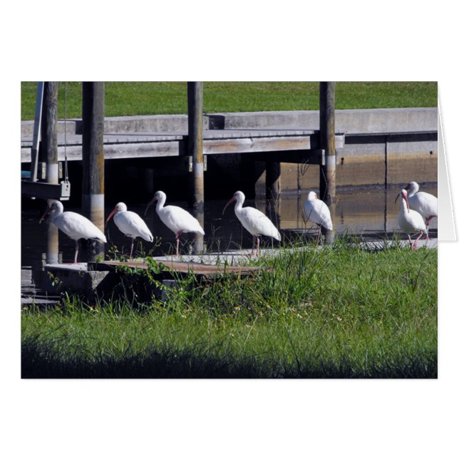 Cartão esperando... (Frente Horizontal)