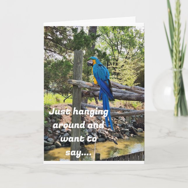 CARTÃO ESPERANDO E QUEIRA DIZER FELIZ ANIVERSÁRIO (Frente)