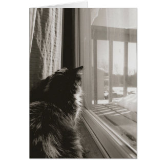 Cartão Esperando no Sol