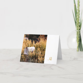 Cartão Esperando o correio