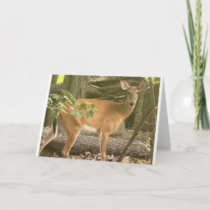 CARTÃO "ESPERANDO PARA DIZER FELIZ ANIVERSÁRIO"