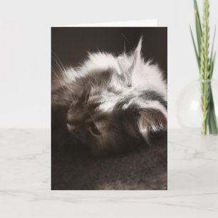 Cartão Esperando que as coisas pesquisem/pensem no seu ca