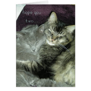 Cartão espere que você dois… continua a apreciar seus