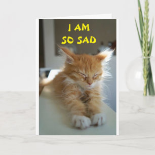 CARTÃO **ESPERO QUE ESTEJA A SENTIR-SE MELHOR**