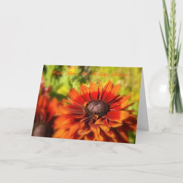 Cartão Espero Que Você Esteja Se Sentindo Melhor (Frente)