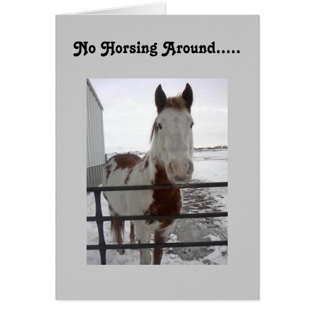 CARTÃO ESPERO QUE VOCÊ POSSA CAVALHAR POR AQUI À 40ª. (Frente)