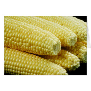 Cartão Espiga de milho