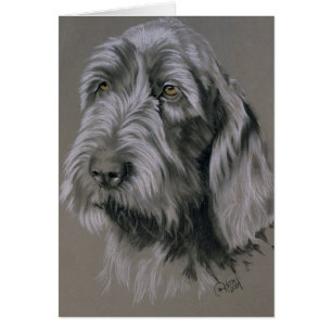 Cartão Espinone Italiano