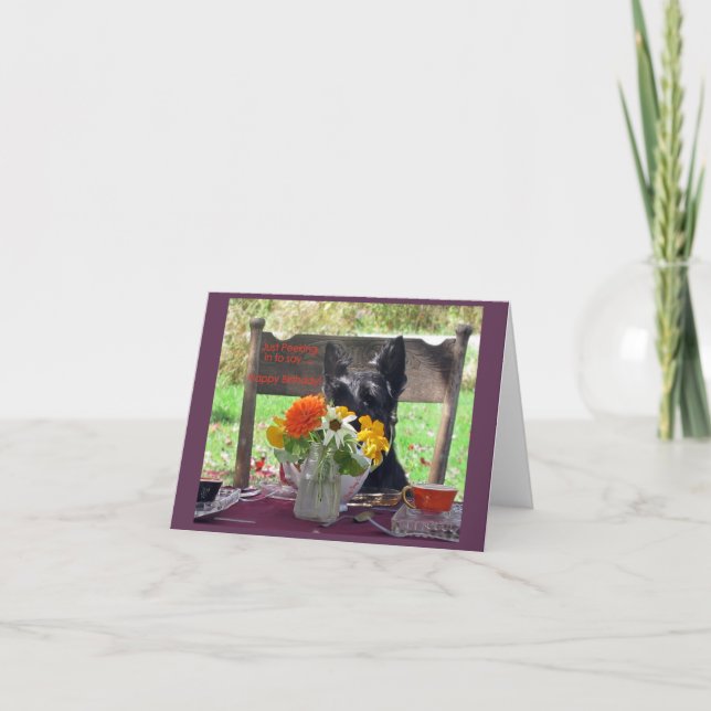 Cartão Espionando (Frente)