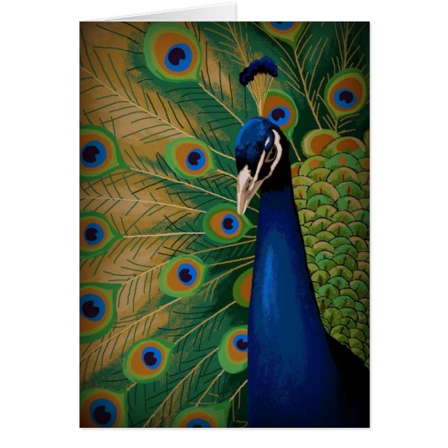 CARTÃO ESPÍRITO DE BELEZA (Frente)