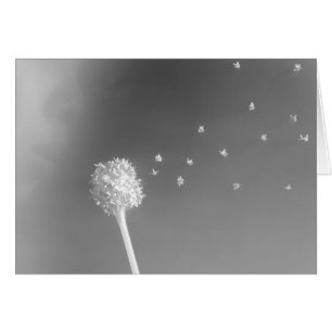 Cartão Espírito do vento