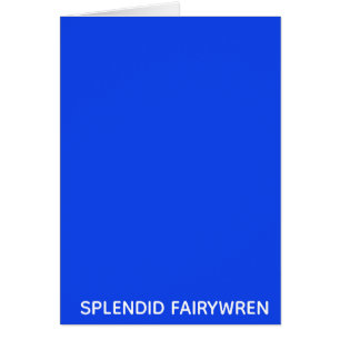 Cartão Esplêndido Nome de Cor Azul Fairywren