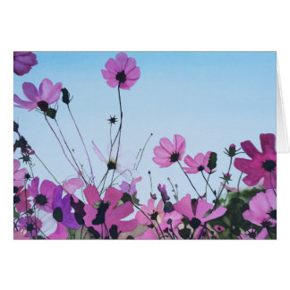 Cartão Esplendor do cosmos