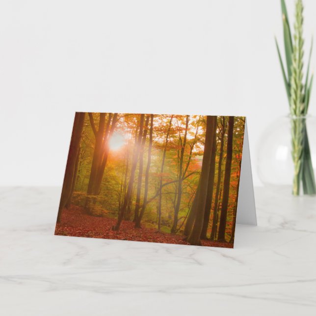 Cartão Esplendor do outono (Frente)