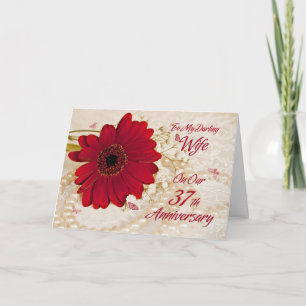 Cartão Esposa no 37º aniversário de casamento, uma flor d