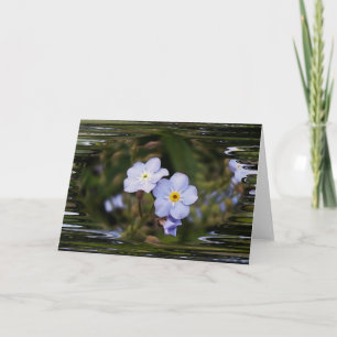 Cartão Esqueça-me não flores