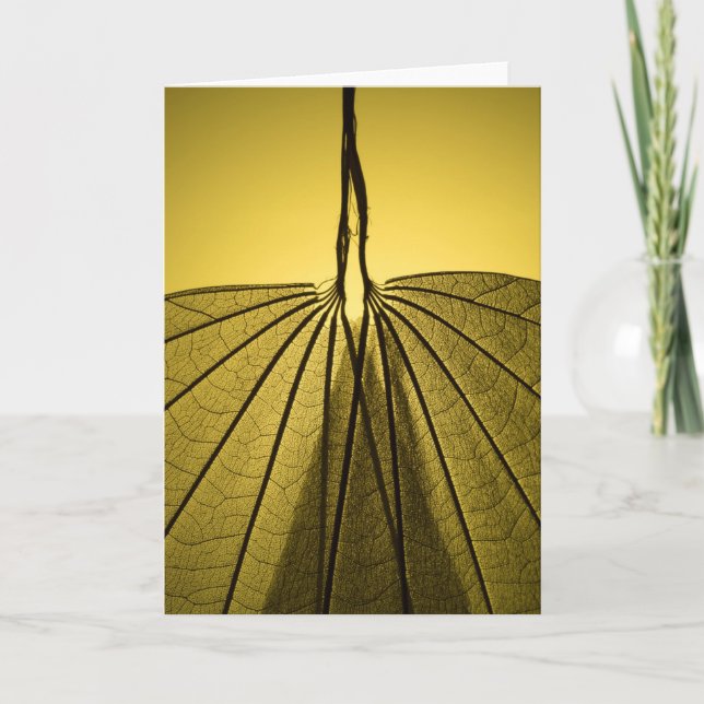 Cartão Esqueleto da folha (Frente)