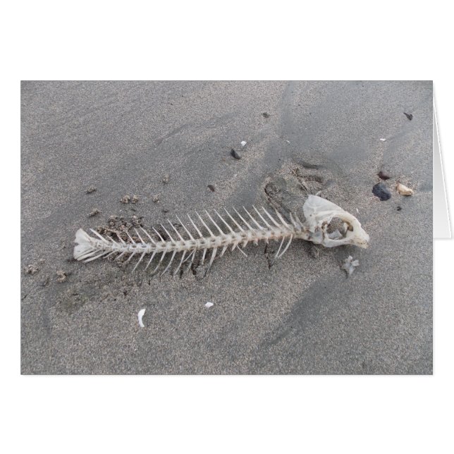 Cartão Esqueleto da praia (Frente horizontal)