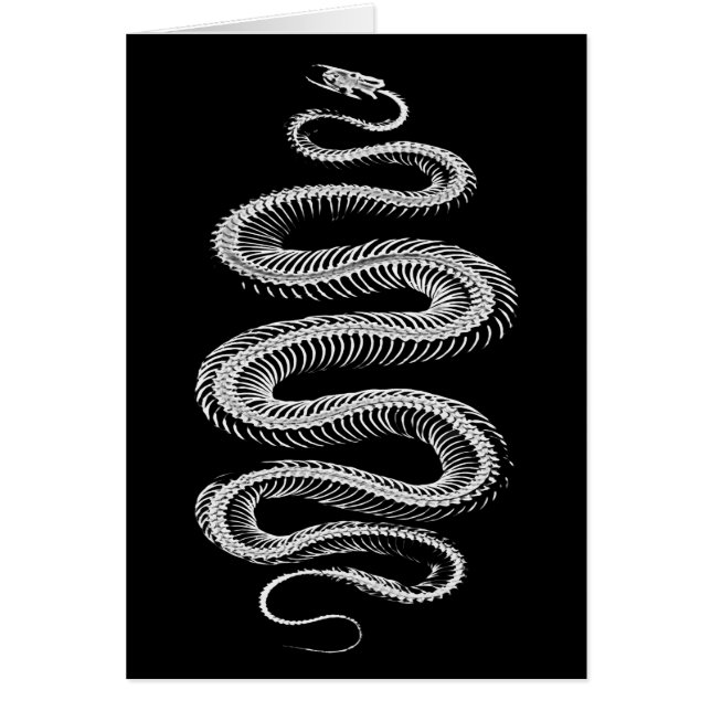 Cartão Esqueleto de Cobra de deslizamento (Frente)