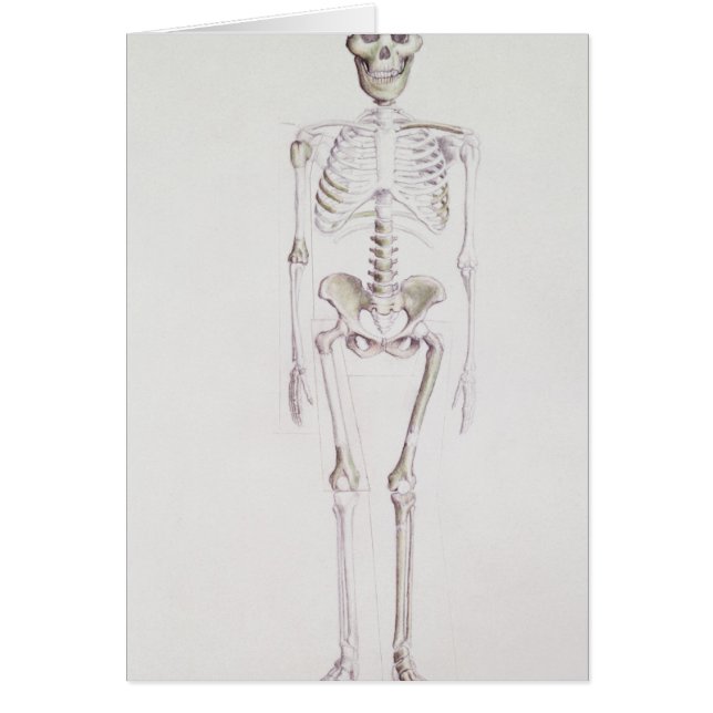 Cartão Esqueleto do africanus do Australopithecus (Frente)