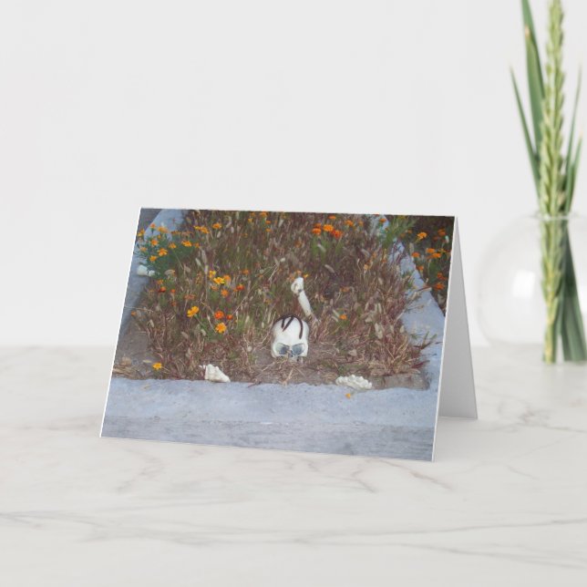 Cartão Esqueleto falso em Marigolds Foto de decoração (Frente)