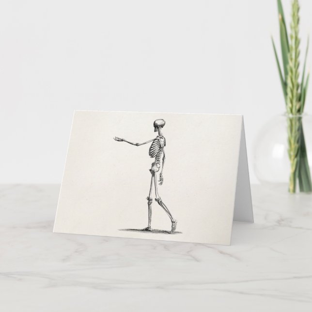 Cartão Esqueletos antigos de esqueleto da anatomia dos (Frente)