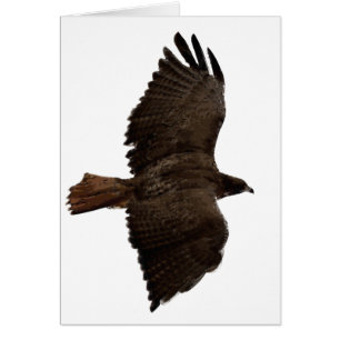 Cartão Esquema de cauda vermelha