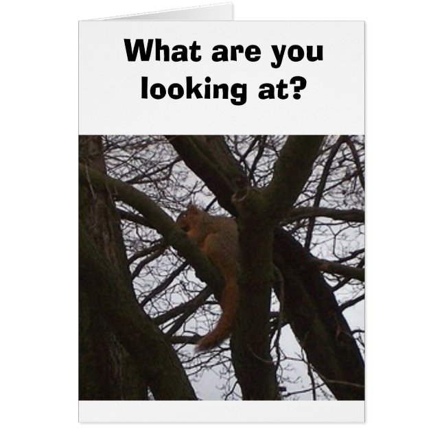 Cartão Esquilo (Frente)