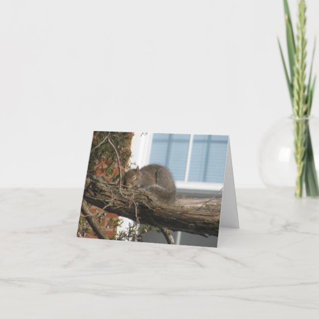 Cartão Esquilo do sono (Frente)