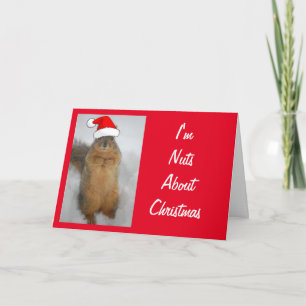 Cartão Esquilo Fofo vestindo um Chapéu de Papai Noel
