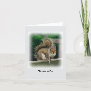 Cartão Esquilo Fome à procura de uma bolsa gratuita