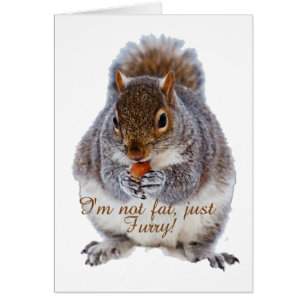 Cartão Esquilo Gordo