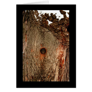 Cartão Esquilo na Árvore