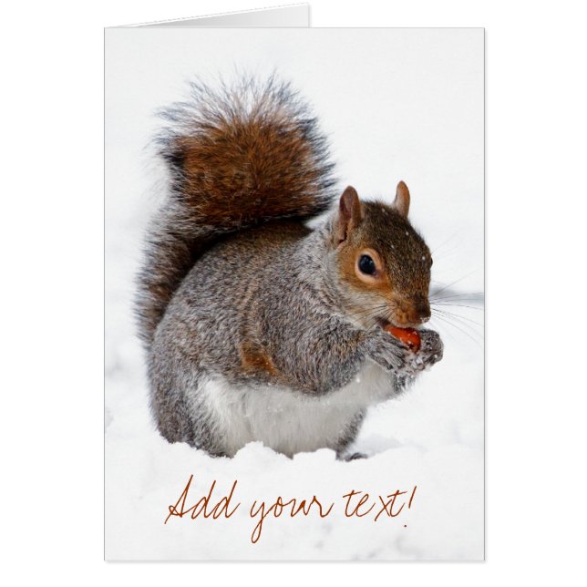 Cartão Esquilo na neve (Frente)