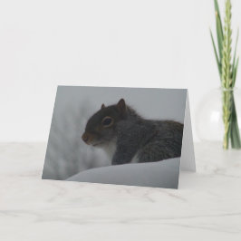 Cartão Esquilo no inverno