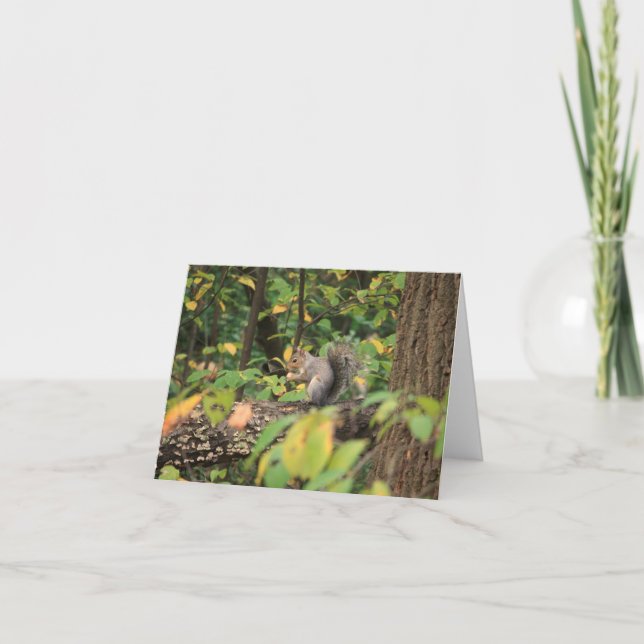 Cartão Esquilo no outono Notecard (Frente)