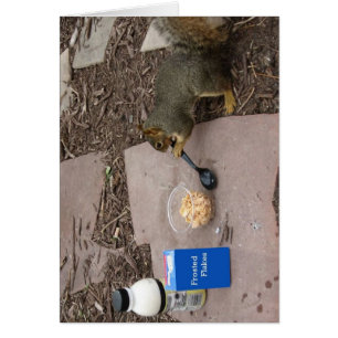 Cartão Esquilo no pequeno almoço