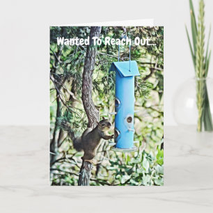 Cartão Esquilo Pensando Em Você