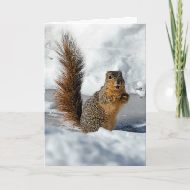 Cartão Esquilo Surpreso (Frente)