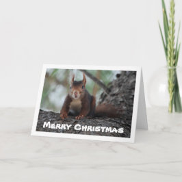 Cartão Esquilo Vermelho em Árvore