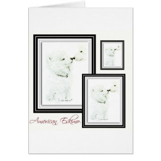 Cartão Esquimó americano