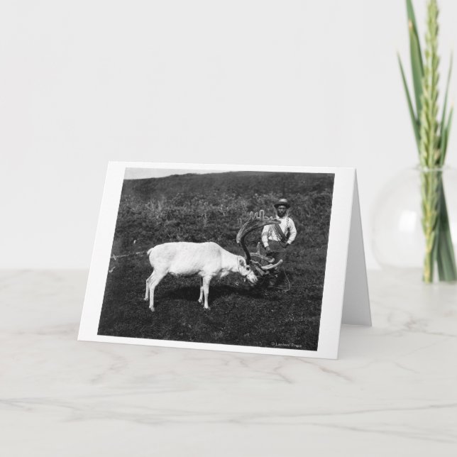 Cartão Esquimó do Alasca e rena capturada (Frente)