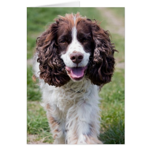 Cartão ess walk.png (Frente)