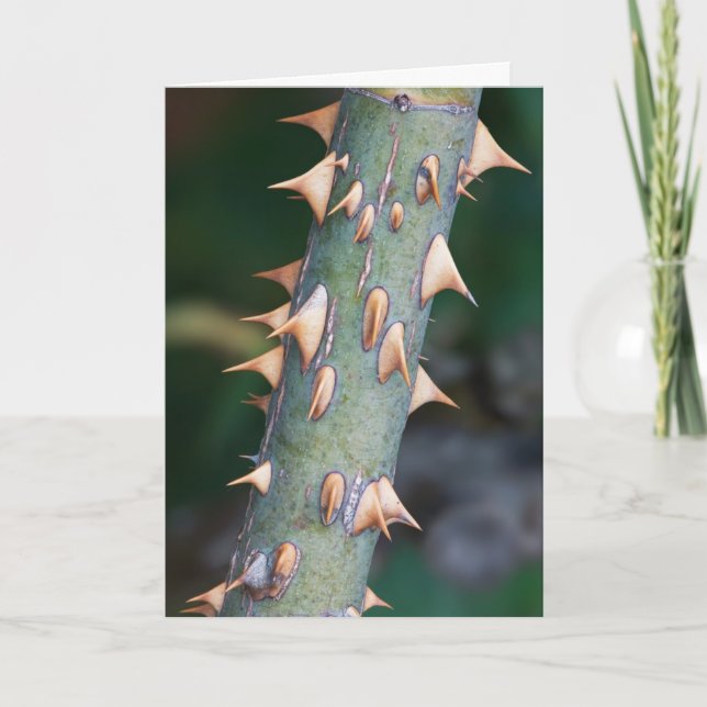 Cartão Está você pronto? (Frente)