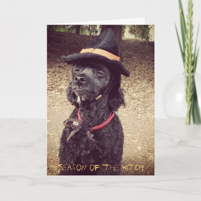 Cartão Estação da bruxa (Frente)