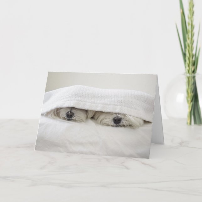 Cartão Estada na cama (Frente)