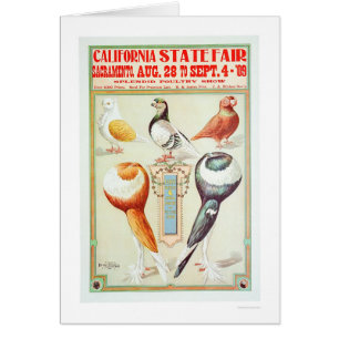 Cartão Estado 1909 justo de Califórnia