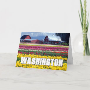 Cartão Estado de Washington   Campo de Tulipas   Feliz An